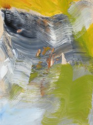 DSCN2983