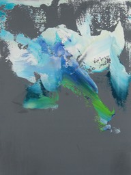 DSCN3204