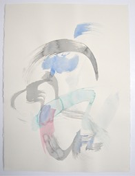 DSCN4450