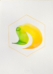 DSCN5041