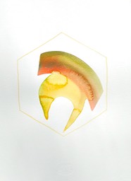 DSCN5286