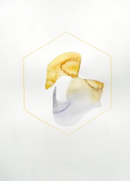 DSCN5299